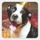 Search for domesticated stickers Animal