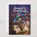 Search for lays postcards Tree