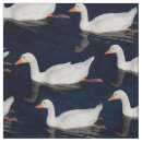 Search for geese Goose