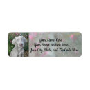 Search for party return address labels Garden