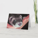Search for ferret cards Whimsical
