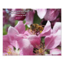 Search for bee image posters Nature photography