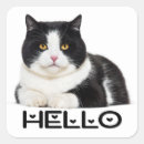 Search for cute white cat stickers Kitten