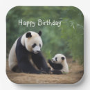 Search for panda plates Birthday