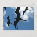 Search for galapagos islands postcards Nature
