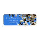 Search for cherry tree return address labels Flower