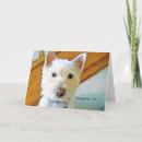 Search for westie lover cards Dog lovers