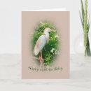 Search for bird perched on tree cards Birds