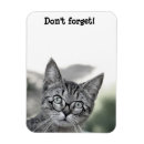 Search for surprised magnets Funny