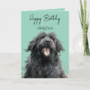 Search for newfoundland dog cards Funny
