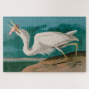 Search for audubon birds puzzles Nature