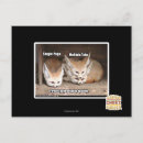 Search for options postcards I can has cheezburger