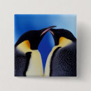 Search for antarctica badges Fauna