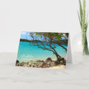 Search for tropical design cards Caribbean
