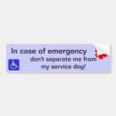Search for assistant bumper stickers Car