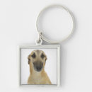 Search for bizarre key rings Studio shot