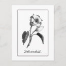 Search for vintage botanical postcards White