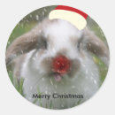 Search for snow bunny stickers Rabbit