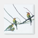 Search for eater magnets Nature