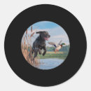 Search for labrador duck stickers Bow