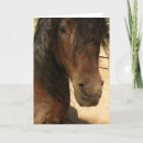 Search for morgans cards Horse