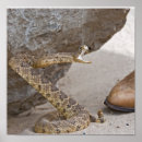 Search for snakes art Wildlife