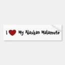 Search for sled dogs bumper stickers Alaska