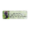 Search for gorilla return address labels Wild animal