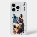 Search for huskie electronics Pet