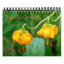 Search for orchids photography Nature