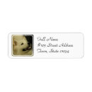 Search for samoyed return address labels Pet