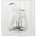 Search for heron shower curtains Wildlife