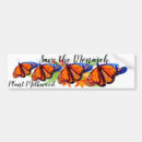 Search for insect bumper stickers Monarch