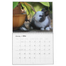 Search for rabbit calendars Bunny