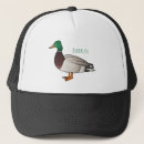 Search for mallards hats Bird