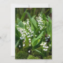 Search for lily of the valley cards Wildflower