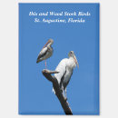 Search for wild bird magnets Tropical