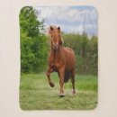 Search for horse photo blankets Cute