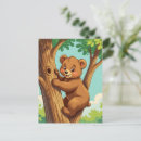 Search for bears climbing trees postcards Cub