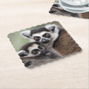 Search for lemur coasters Baby