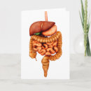 Search for digestive Digestion