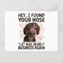 Search for found postcards Cool
