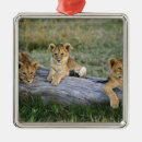 Search for africa christmas tree decorations Lion
