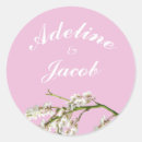 Search for pink and white wedding stickers Calligraphy