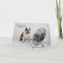 Search for king birthday cards Pet