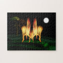Search for firefly puzzles Insect