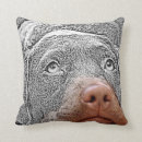 Search for chocolate lab cushions Pet