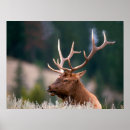 Search for john wilde posters Danita delimont