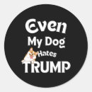 Search for love trumps hate stickers Antitrump