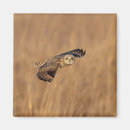 Search for grassland magnets Animal